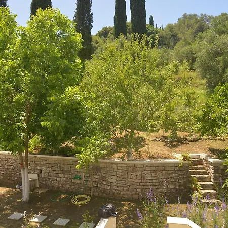 Georgia & Corfu Daire
