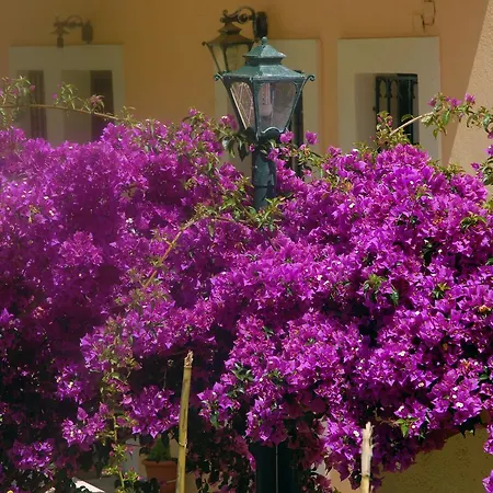Daire Georgia & Corfu