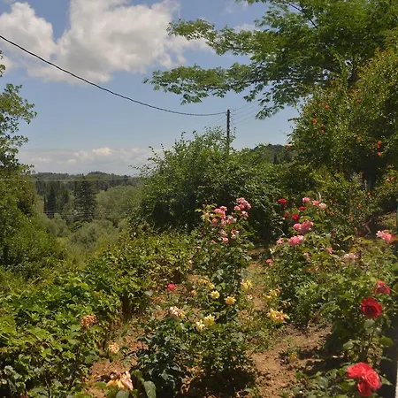Georgia & Corfu 公寓 *